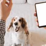 Are Dog Training Apps Worth It? Unleash Benefits